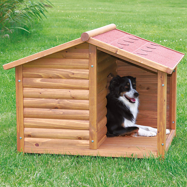 Wayfair insulated 2025 dog house